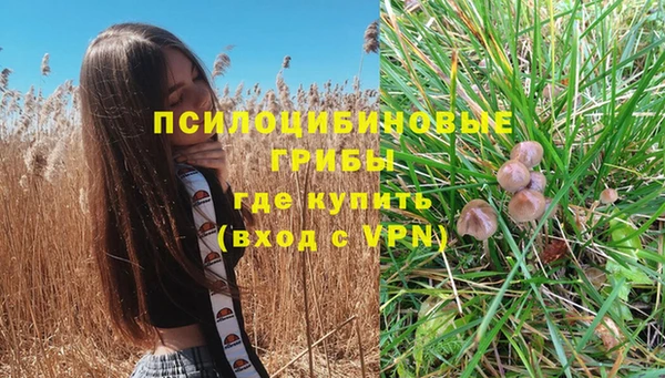 spice Бородино