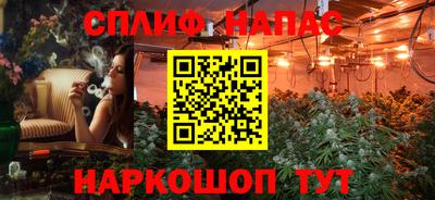 дживик Можга