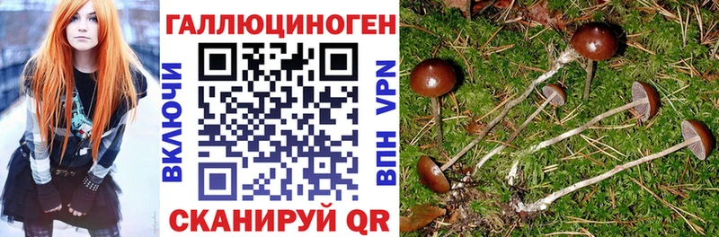 Псилоцибиновые грибы прущие грибы  Буйнакск 