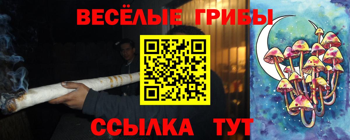 Псилоцибиновые грибы Magic Shrooms  Вход с VPN  Буйнакск 