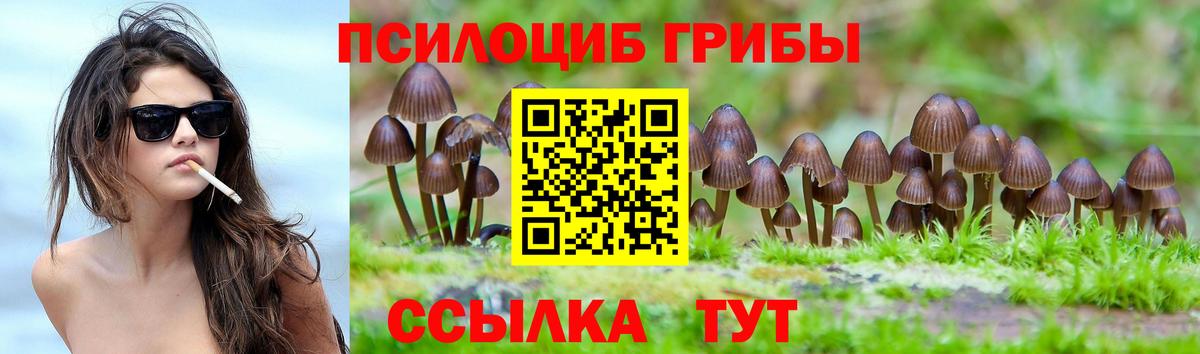 Галлюциногенные грибы прущие грибы Буйнакск